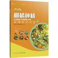 现代柑橘种植实用技术问答 廖文月,覃伟,吴述勇 编 专业科技 文轩网