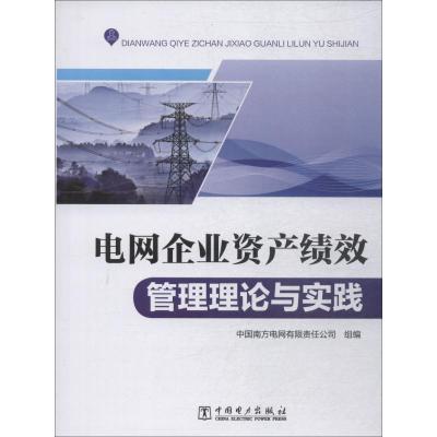 电网企业资产绩效管理理论与实践 中国南方电网有限责任公司 著 中国南方电网有限责任公司 编 专业科技 文轩网