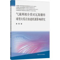 气液两相介质对瓦斯爆炸球型火焰自加速机制影响研究 裴蓓 著 大中专 文轩网