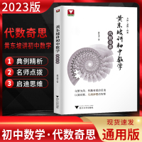 黄东坡讲初中数学 代数奇思 黄东坡 著 文教 文轩网