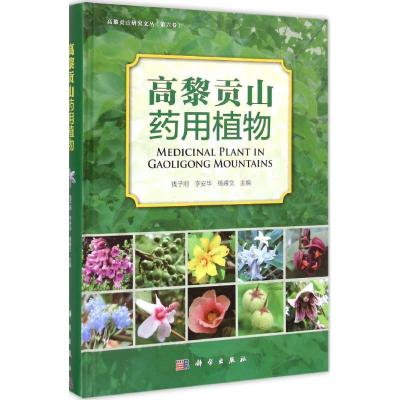 高黎贡山药用植物 钱子刚,李安华,杨耀文 主编 著 生活 文轩网