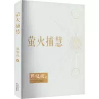 萤火捕慧 谭电波 著 文学 文轩网