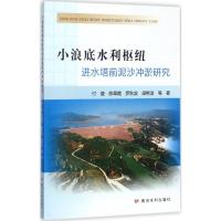 小浪底水利枢纽进水塔前泥沙冲淤研究 付健 等 著 专业科技 文轩网