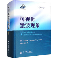 可视化激波现象 (日)高山和喜 著 白菡尘,杨波 译 专业科技 文轩网