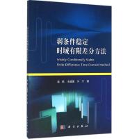 弱条件稳定时域有限差分方法 陈娟,王建国,许宁 著 专业科技 文轩网