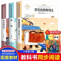 课本作家六年级下册3本 老舍 著等 少儿 文轩网