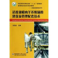 适度规模肉羊养殖场的建设及管理配套技术 刘洪波 主编 专业科技 文轩网