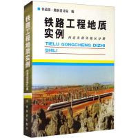 铁路工程地质实例 西北及相邻地区分册 铁道第一勘察设计院 编 专业科技 文轩网