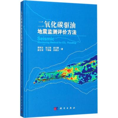 二氧化碳驱油地震监测评价方法 谭明友 等 著 专业科技 文轩网