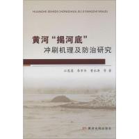 黄河"揭河底"冲刷机理及防治研究 江恩慧 等 著 专业科技 文轩网