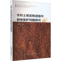 农村土地流转进程中耕地保护问题研究 孙丽娜 著 专业科技 文轩网