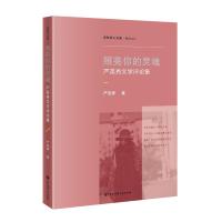 照亮你的灵魂:严英秀文学评论集 严英秀 著 文学 文轩网