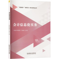 会计信息化实务 张立新,隋玉亮,丁兆金 编 经管、励志 文轩网