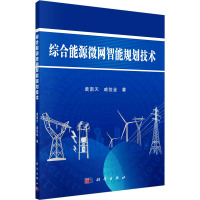 综合能源微网智能规划技术 黄南天,戚佳金 著 专业科技 文轩网