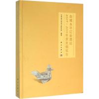 白城永平辽金遗址2009-2010年度发掘报告 吉林省文物考古研究所 编著 著作 社科 文轩网