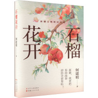 石榴花开 何建明 著 文学 文轩网