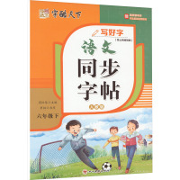 写好字 语文同步字帖 6年级下 人教版 罗扬 著 周汉琴 编 文教 文轩网