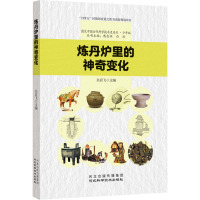 炼丹炉里的神奇变化 吴育飞,戴念祖,白欣 编 文教 文轩网