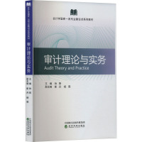 审计理论与实务 孙阳,崔丹,姬霖 编 经管、励志 文轩网