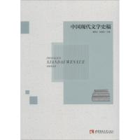 中国现代文学史稿 魏洪邱 张普安 著 魏洪邱,张普安 编 文学 文轩网