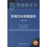 黔南文化发展报告2019 王芳,方林,莫才军 编 经管、励志 文轩网