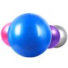 华亚 65cm瑜伽球套装加厚防爆 减肥瘦身健身器材 孕妇助产分娩球