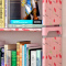 索尔诺简易书架 书柜置物架 创意组合层架子 落地书橱sjsx103