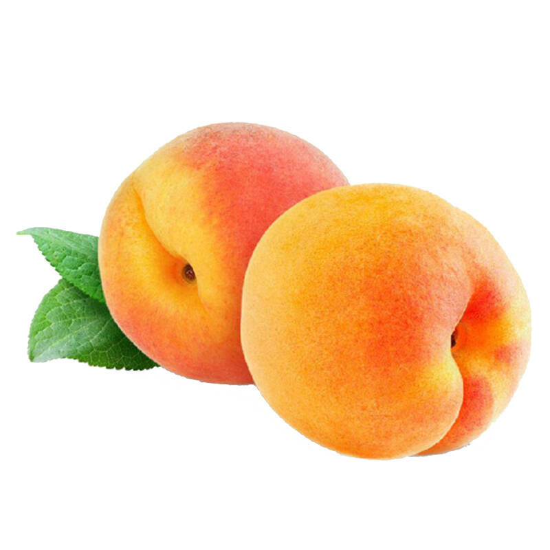 山东黄桃 5斤 桃子 新鲜水果 产发
