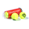 网球 温网比赛网球 塑料罐(三粒装)342013