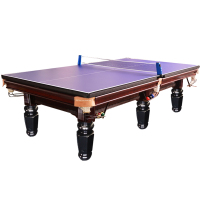 益动未来2用台球桌 家用台球桌乒乓球台二合一 台球桌 16彩黑八台球桌