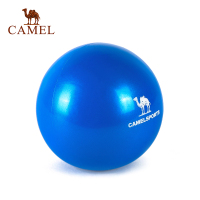 CAMEL骆驼健身球 瑜伽灌沙球手球软式重力球