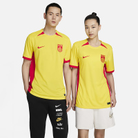 Nike 2023女子世界杯系列 速干透气足球短袖足球服球迷版2023赛季中国队客场男女同款黄色 DR3973-731