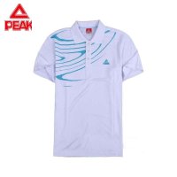 Peak匹克运动T恤正品2016夏季男士舒适透气大码短袖T恤F612237