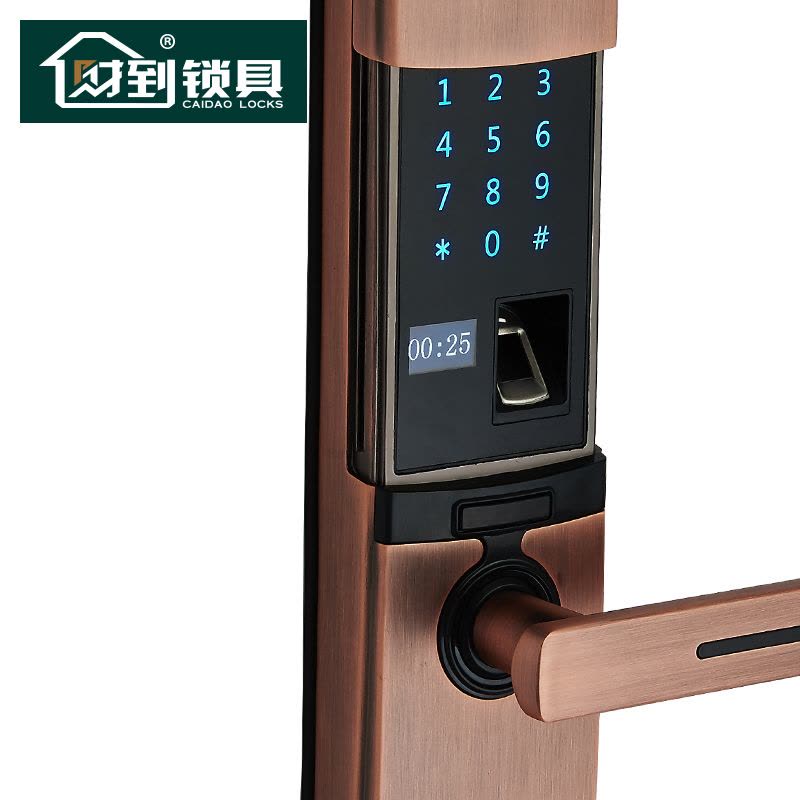 财到（CAIDAO） 指纹锁 智能锁密码锁 家用防盗门锁 电子密码锁 通用CD-P8图片