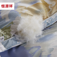 恒源祥家纺 90%白鹅绒被 羽绒被 冬被 被子加厚保暖床上用品