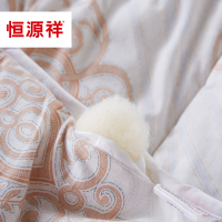 恒源祥家纺 全棉澳洲进口羊毛被 冬被 被芯加厚春秋被子床上用品