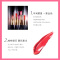 Estee Lauder 雅诗兰黛 Envy Rouge 倾慕系列口红唇膏 3.5g #410 Dynamic