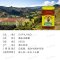 【2瓶x500克】 康乐蜜方瓶 Capilano 肠胃调理 保健饮品 天然蜂蜜 海外购 澳洲原装进口直邮