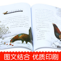 西顿野生动物故事集全8册儿童动物书西顿动物小说记图书儿童书籍3-12岁故事书小学生课外阅读