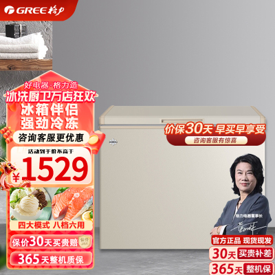 格力(GREE)冰柜 单温柜 202L 冰箱伴侣 强劲冷冻 BC/BD-202DA/时代金