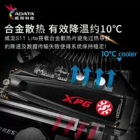 威刚(ADATA) XPG威龙-S11 Lite 256GB SSD固态硬盘 M.2接口(NVMe协议)