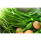 蔬菜种子 富韭黑秀F1韭菜种子 叶色深绿 茎秆粗壮 250克/包