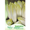 我要发芽 蔬菜种子 比利时菊苣种子 菊苣 玉兰菜 芽球菊苣 20粒/包