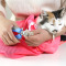 洗猫袋多功能猫咪洗澡袋宠物猫包专用可拆卸洗澡袋子剪指甲用品