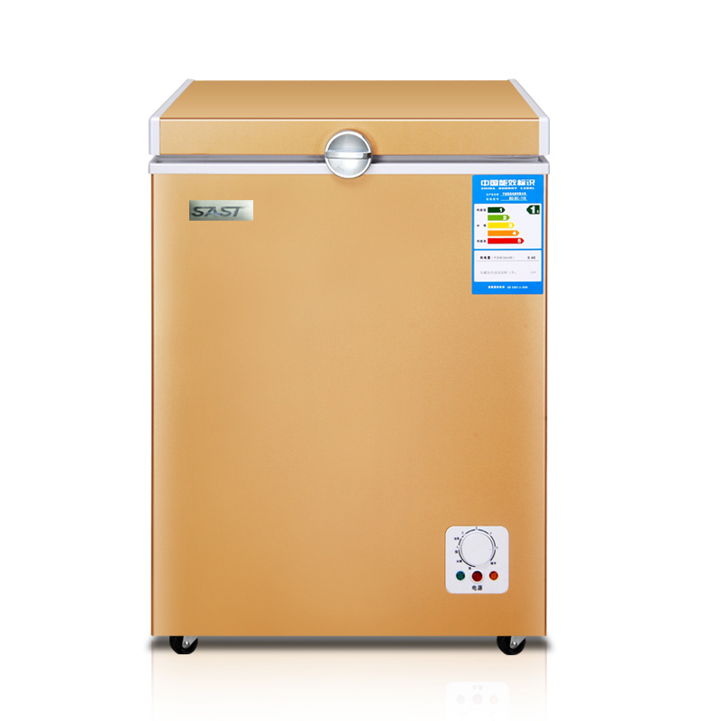 先科(SAST) BD/BC-109L 家用单门单温小型冰柜冷柜冷冻柜冷藏冷冻转换柜母乳海鲜柜