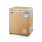 先科(SAST) BD/BC-109L 家用单门单温小型冰柜冷柜冷冻柜冷藏冷冻转换柜母乳海鲜柜