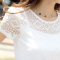 歌诺瑞丝2017夏季新款韩版大码修身百搭白色蕾丝打底衫短袖T恤-6885