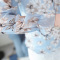 歌诺瑞丝2017秋季女装新款韩版气质修身套头大码木耳边喇叭袖印花雪纺衫女9008