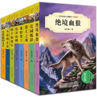 沈石溪动物小说全集 全套系列正版绝境血狼狼王梦8册 三四五年级小学生课外阅读书籍阅读6-7-9-10-12-15岁畅