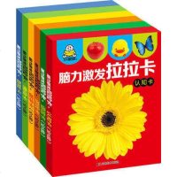 小婴孩撕不烂脑力激发拉拉卡6盒 启蒙早教益智大卡片 婴幼儿童图书 认知卡 数学卡 语言卡 情商卡 智能卡 游戏卡